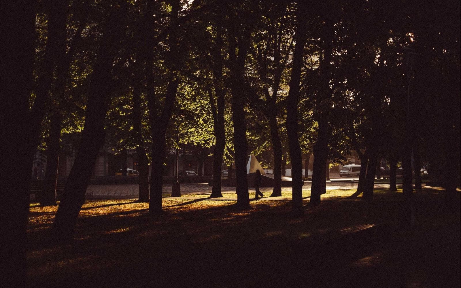 Waterfront 3BHK with Lagoon View - Image 3