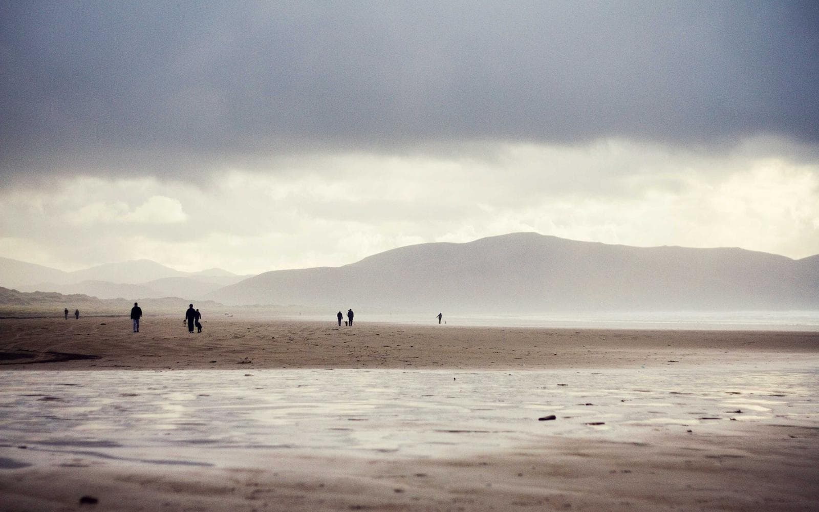 Retail Shop in Sector 18 Commercial Hub