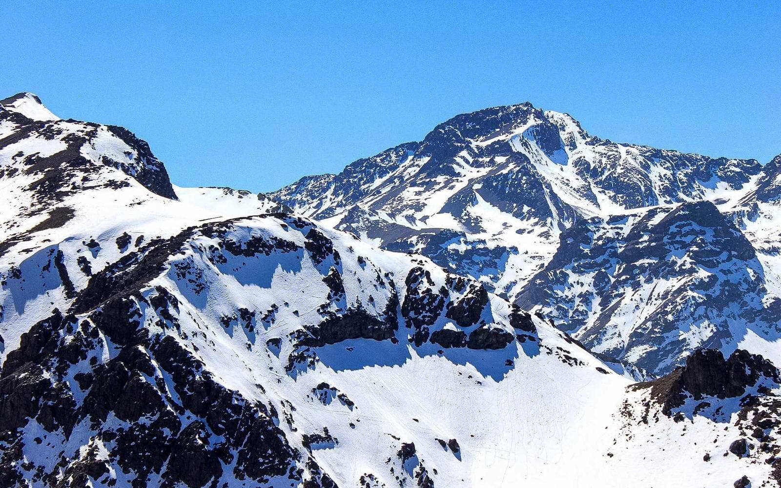 Luxury Farmhouse in Chattarpur - Image 3