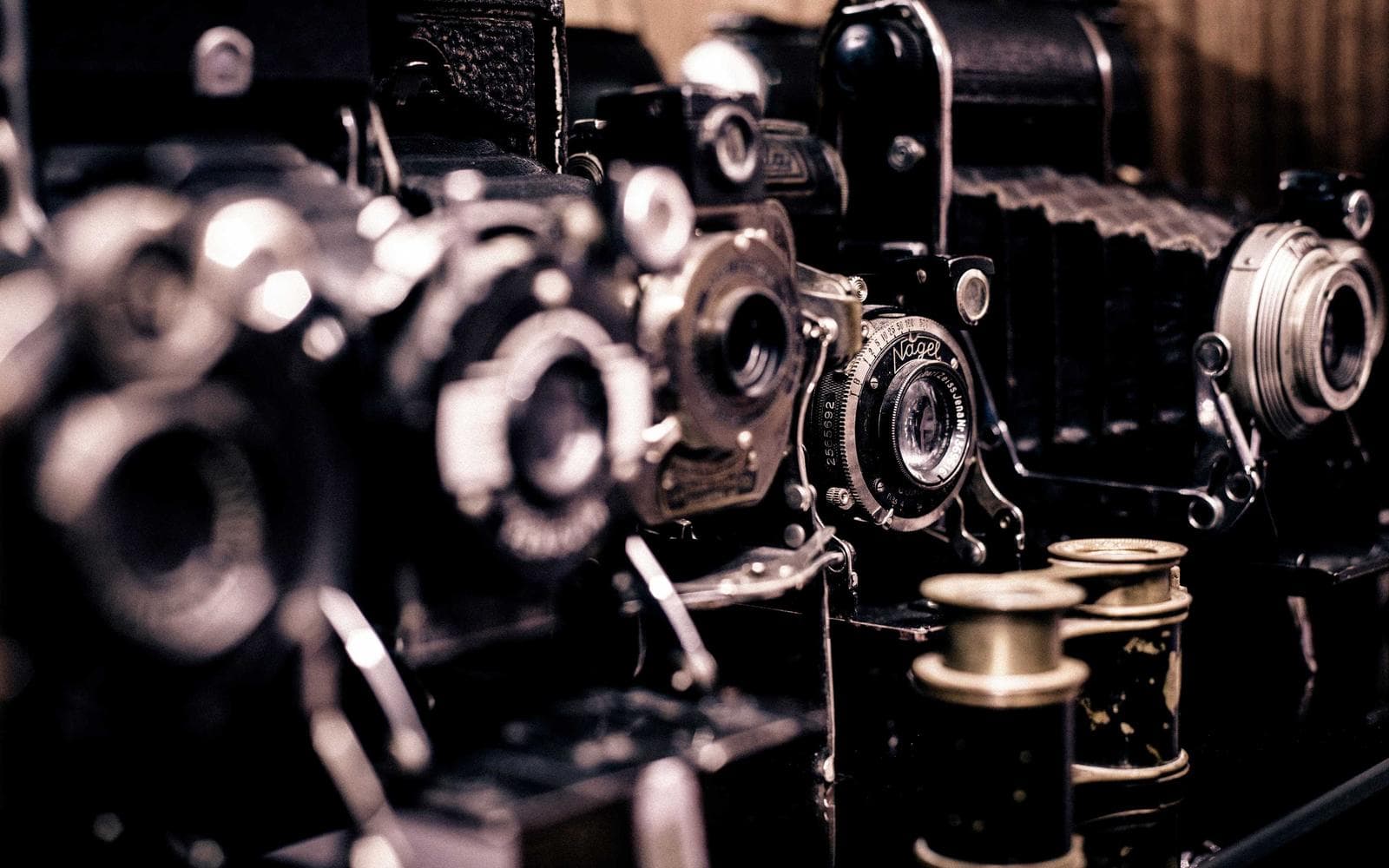 Premium 4BHK Villa with Private Garden