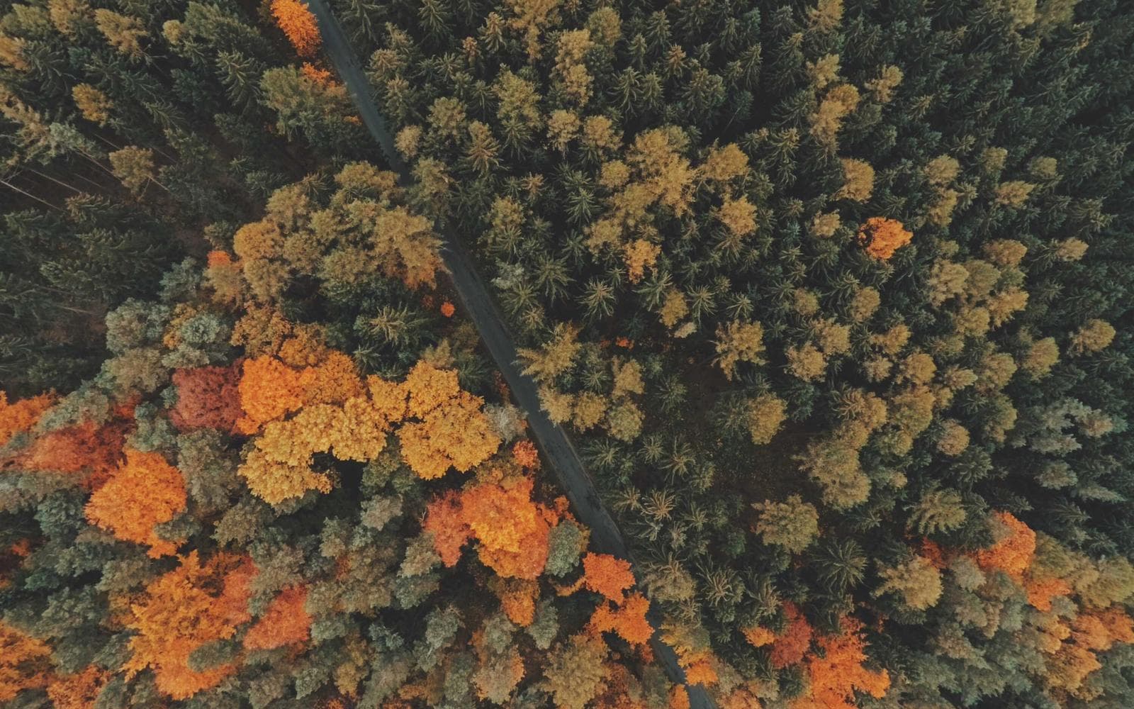 Premium 4BHK Villa with Private Garden - Image 4