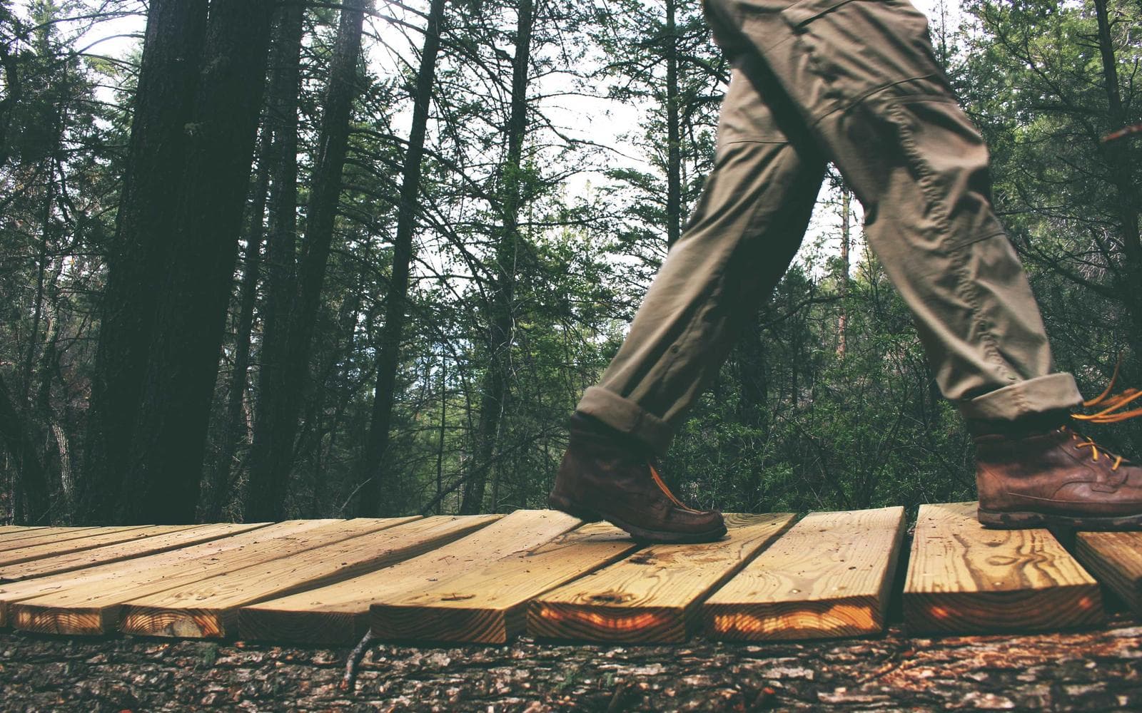 Modern 2BHK near Dwarka Expressway - Image 3