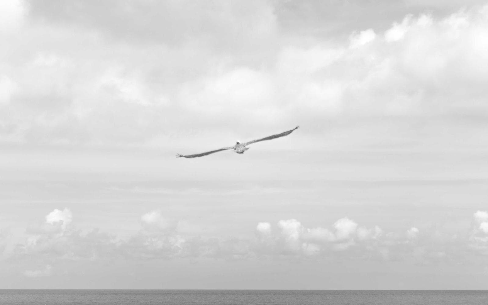 Grade-A Office Space, Noida Expressway - Image 3